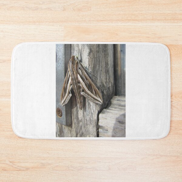 Item preview, Macro Close-Up of a Brown Moth Resting on Weathered Wood Showing Wing Pattern and Texture designed and sold by Nmallia.