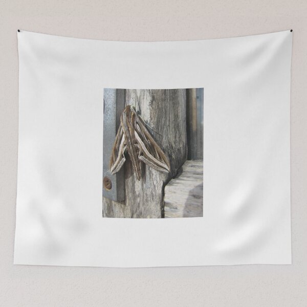 Item preview, Macro Close-Up of a Brown Moth Resting on Weathered Wood Showing Wing Pattern and Texture designed and sold by Nmallia.