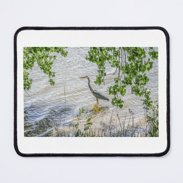 Item preview, Heron St Vrain designed and sold by TBirdPhotos.