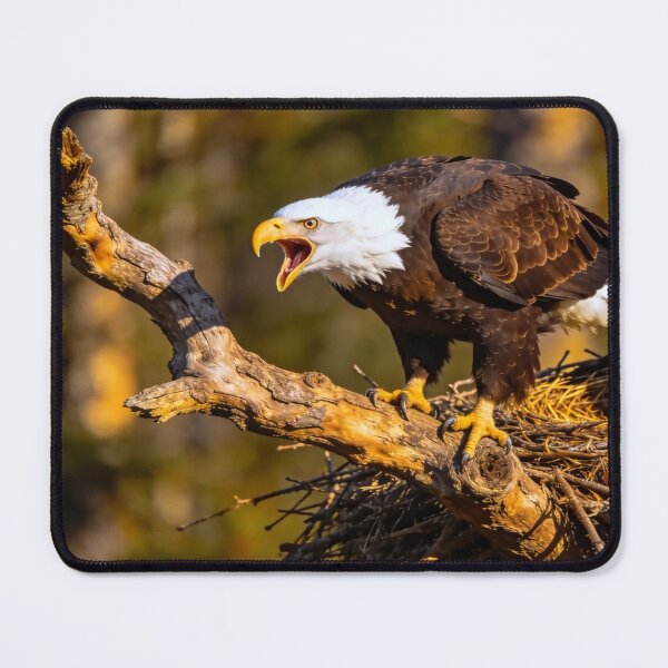 Item preview, The Sound of Freedom designed and sold by vernonplatt.