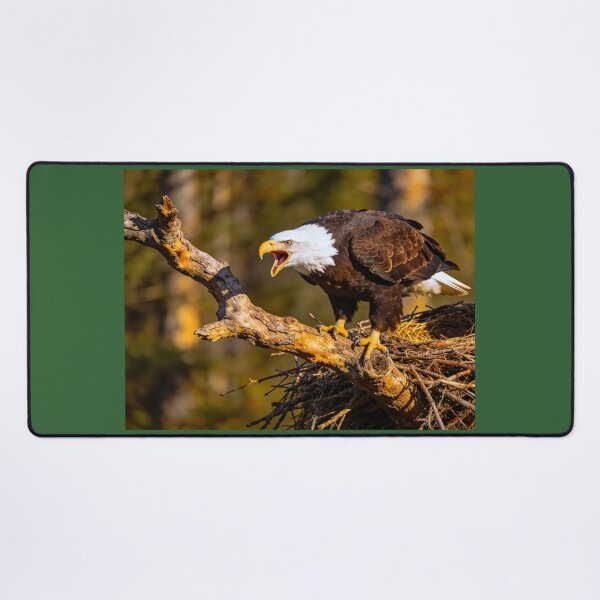 Item preview, The Sound of Freedom designed and sold by vernonplatt.