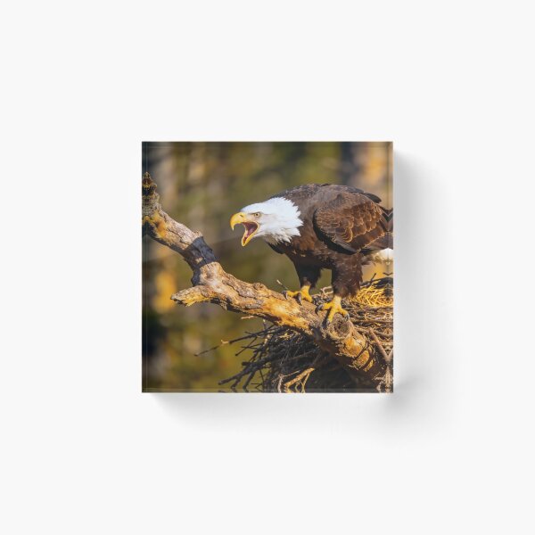 Item preview, The Sound of Freedom designed and sold by vernonplatt.