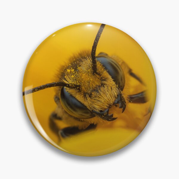 Item preview, Closeup of Bee on Coreopsis designed and sold by JohnO2019.