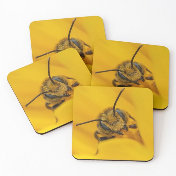 Item preview, Closeup of Bee on Coreopsis designed and sold by JohnO2019.