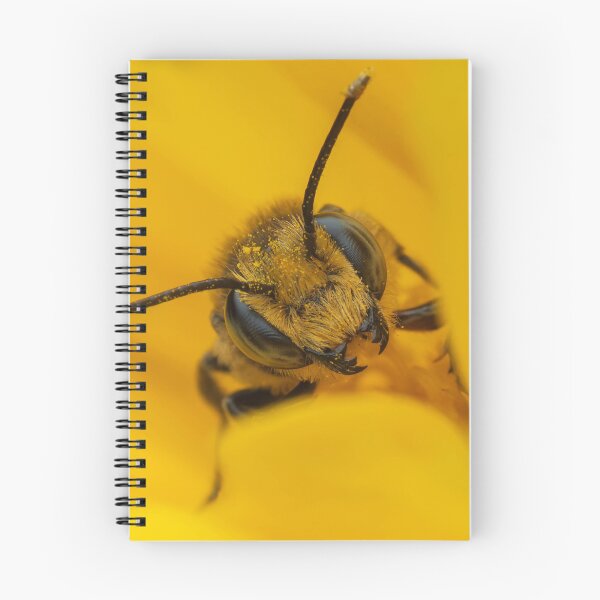 Item preview, Closeup of Bee on Coreopsis designed and sold by JohnO2019.