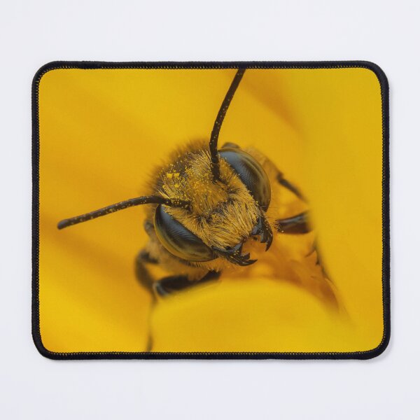 Item preview, Closeup of Bee on Coreopsis designed and sold by JohnO2019.