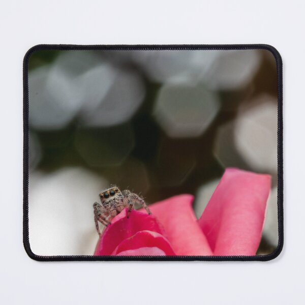 Item preview, Jumping Spider on Rose designed and sold by JohnO2019.