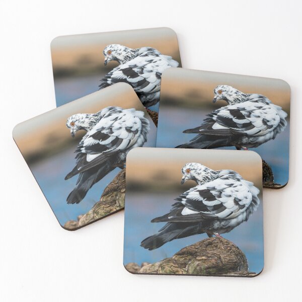 Item preview, Black and White Pigeon Striking a Pose on a Tree Root designed and sold by JohnO2019.