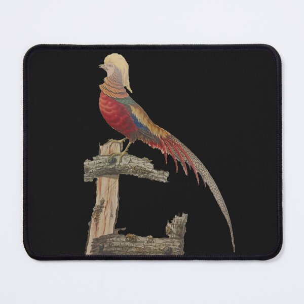 Item preview, exotic bird designed and sold by colorgallery11.