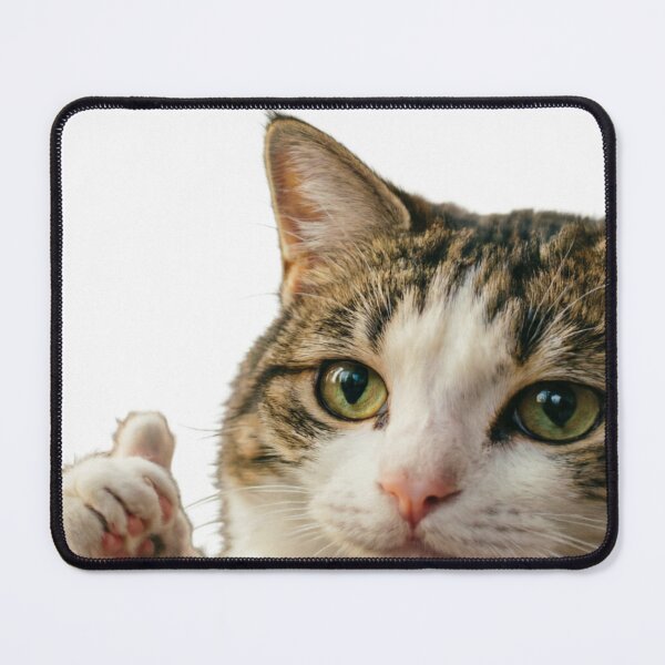 Item preview, Everything’s Good Cat Sticker In HD designed and sold by designs4you386.