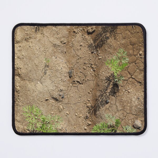 Item preview, Sunlit Carrot Seedlings in Soil designed and sold by diabshoots.