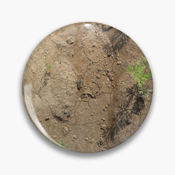 Item preview, Sunlit Carrot Seedlings in Soil designed and sold by diabphotography.