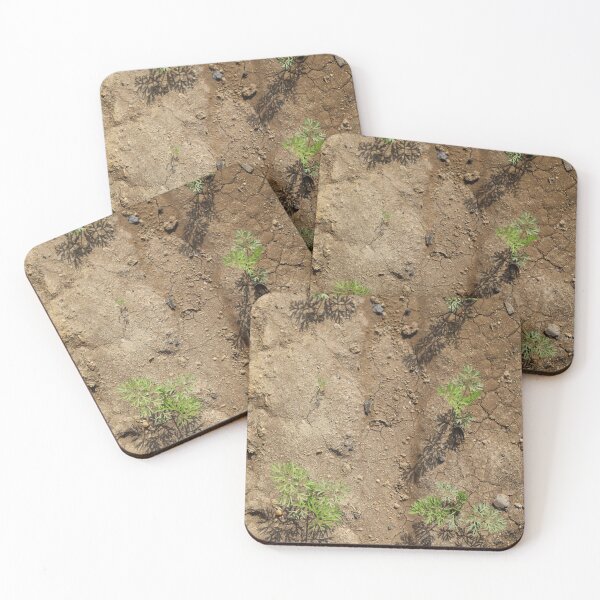 Item preview, Sunlit Carrot Seedlings in Soil designed and sold by diabshoots.