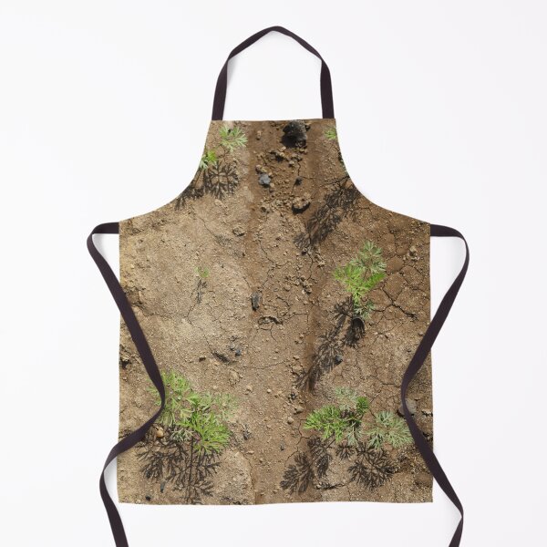 Item preview, Sunlit Carrot Seedlings in Soil designed and sold by diabshoots.