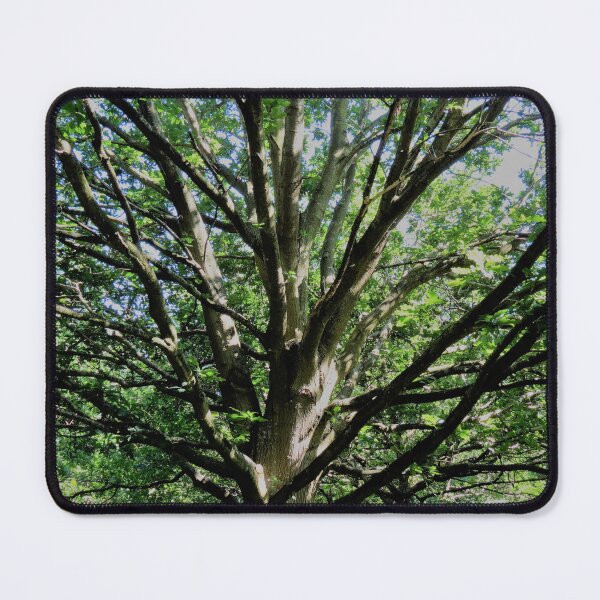 Item preview, New Leaves designed and sold by morrisophotography.