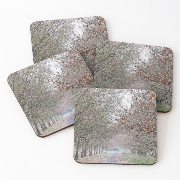 Item preview, Delapre Park in Winter designed and sold by morrisophotography.