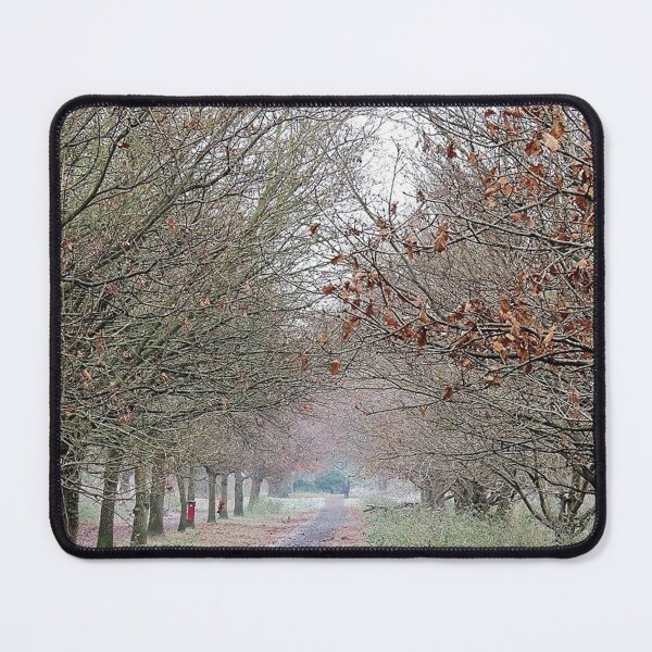 Item preview, Delapre Park in Winter designed and sold by morrisophotography.