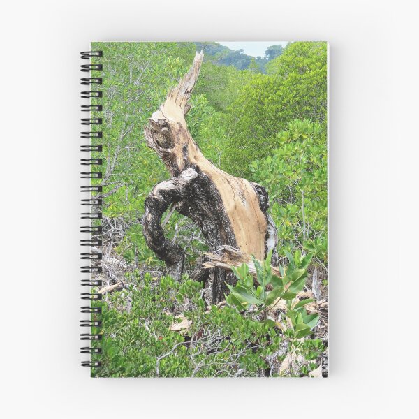 Item preview, Koh Chang Mangrove Forest designed and sold by morrisophotography.