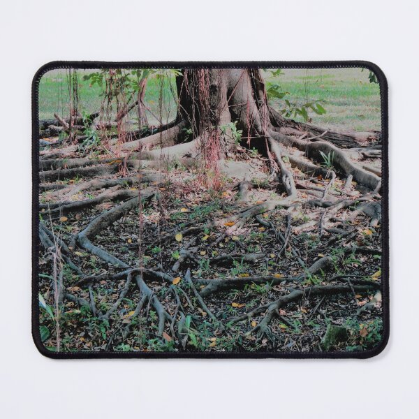 Item preview, King Rama IX Park, Bangkok designed and sold by morrisophotography.