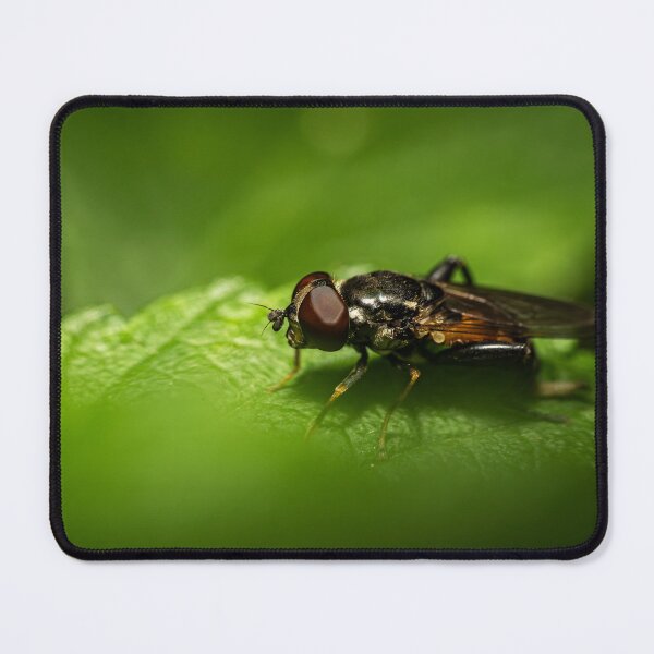 Item preview, Red Eyes on Green — Hoverfly Macro Portrait designed and sold by Rabee Khalil Photography.