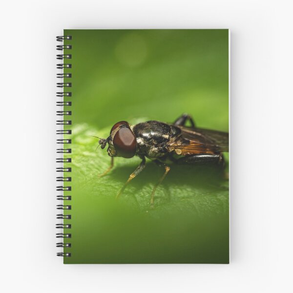 Item preview, Red Eyes on Green — Hoverfly Macro Portrait designed and sold by Rabee Khalil Photography.