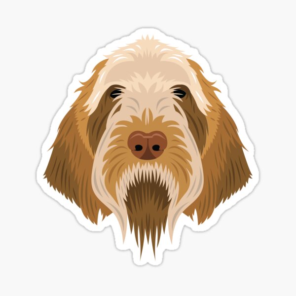 Spinone Italiano Gifts Spinone Italiano Accessories Spinone Dog Wine Glass