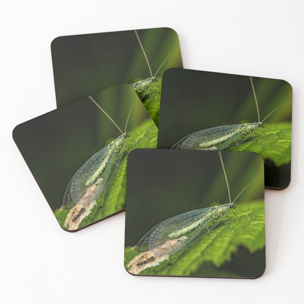 Item preview, Stained Glass Wings — Green Lacewing Macro Portrait designed and sold by Rabee Khalil Photography.