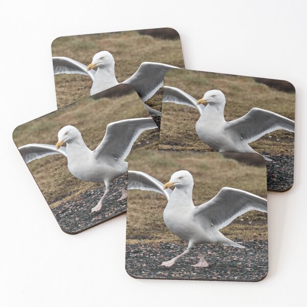 Item preview, Dance of Herring Gull designed and sold by Tom McPherson Photography.