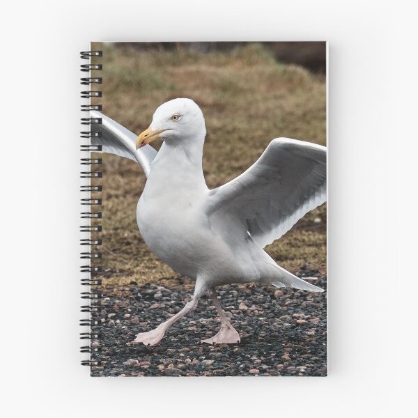 Item preview, Dance of Herring Gull designed and sold by Tom McPherson Photography.