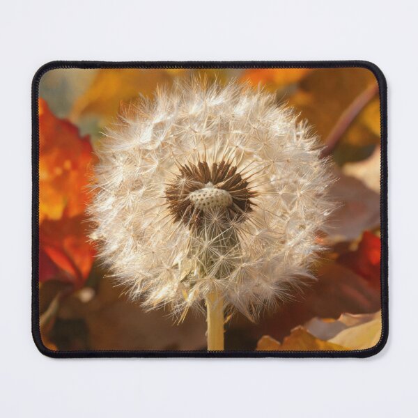 Item preview, Dandelion in Autumn designed and sold by HabitableMoons.
