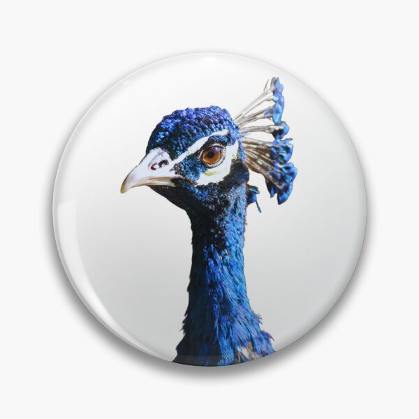 Item preview, Peacock designed and sold by di-Vera-Rosati.