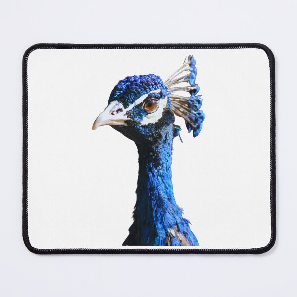 Item preview, Peacock designed and sold by di-Vera-Rosati.