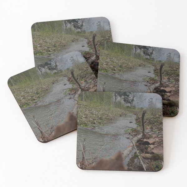 Item preview, Still Moving, Still Here designed and sold by Mossandlightco.