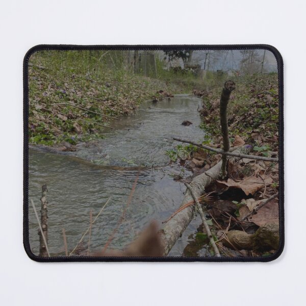 Item preview, Still Moving, Still Here designed and sold by Mossandlightco.