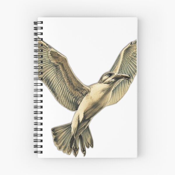 Item preview, Northern Gannet Death Dive Birding Art designed and sold by FoxglovePress.