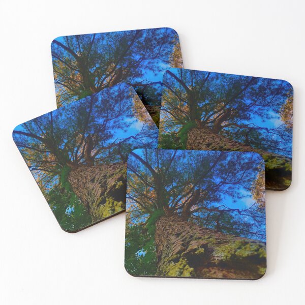 Item preview, What the Ground Sees designed and sold by Mossandlightco.
