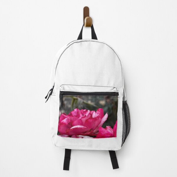Item preview, Pink Garden Rose in Bloom Macro designed and sold by clicksbyAnanya.