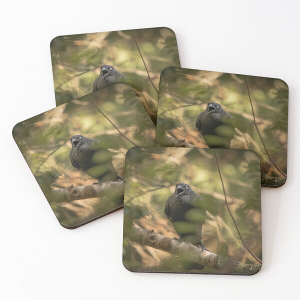 Item preview, Torresian Crow designed and sold by robdwildlife.