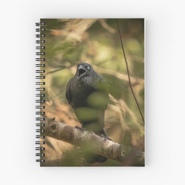Item preview, Torresian Crow designed and sold by robdwildlife.