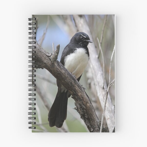 Item preview, Willie Wagtail Perched on a Bush Branch designed and sold by 27Tammy27.