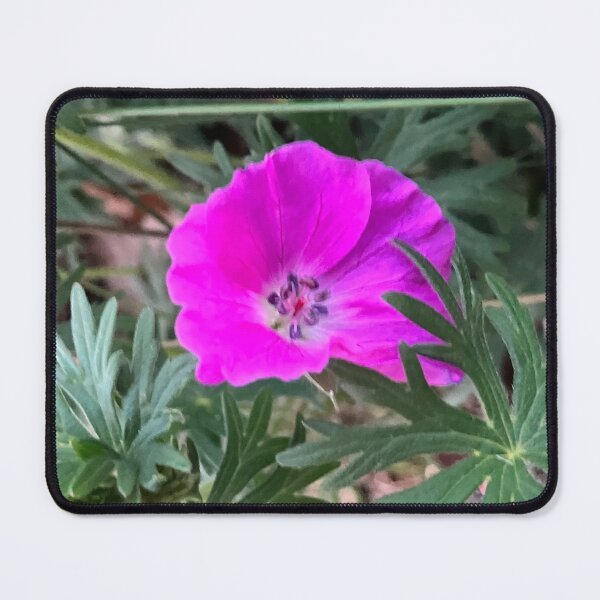 Item preview, Wild Geranium designed and sold by Amanda1775.