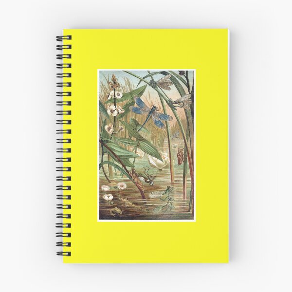 Item preview, Dragonfly and Damselflies in a Pond designed and sold by hec60504.