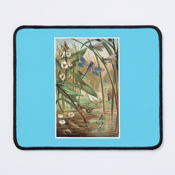 Item preview, Dragonfly and Damselflies in a Pond designed and sold by hec60504.