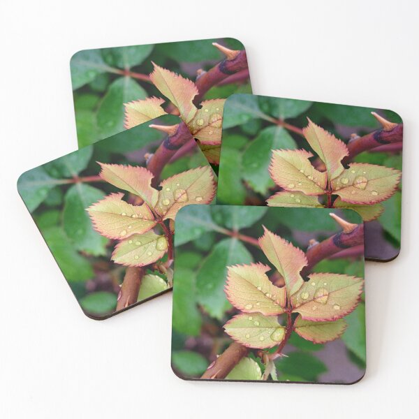 Item preview, Raindrops on Leaves designed and sold by MaddysMStudio.