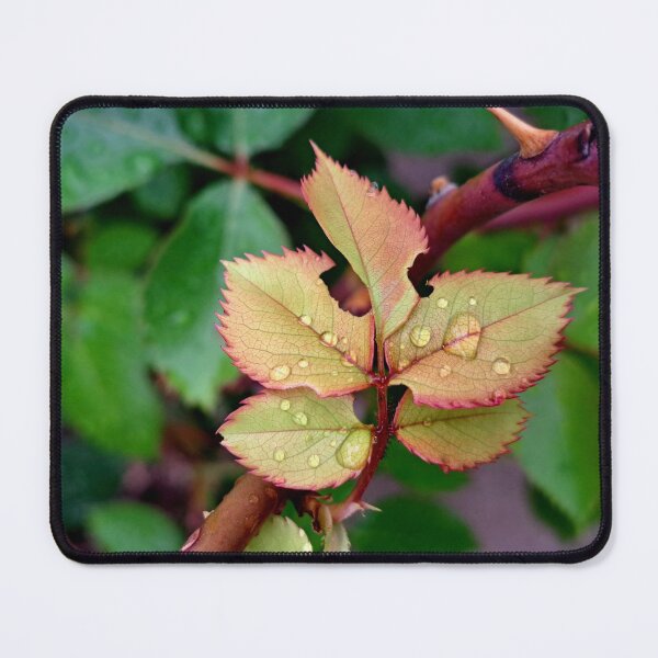 Item preview, Raindrops on Leaves designed and sold by MaddysMStudio.