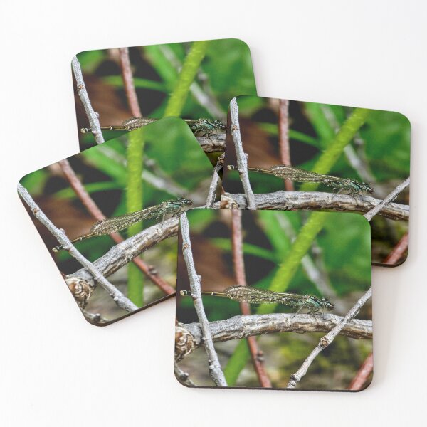 Item preview, Green Dragonfly designed and sold by MaddysMStudio.