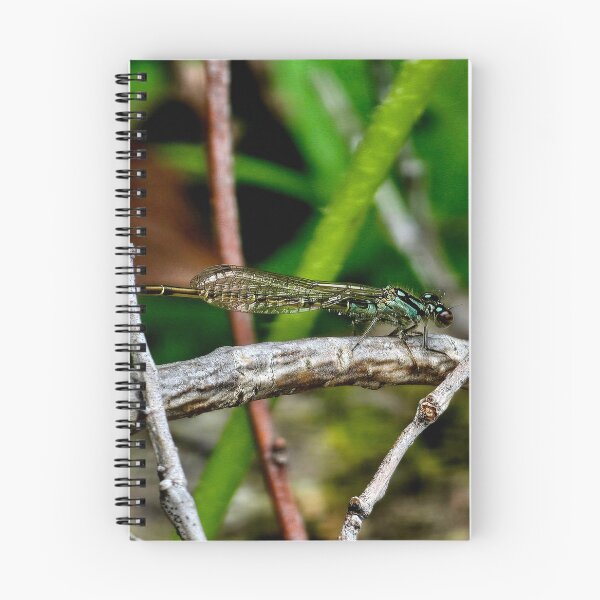 Item preview, Green Dragonfly designed and sold by MaddysMStudio.