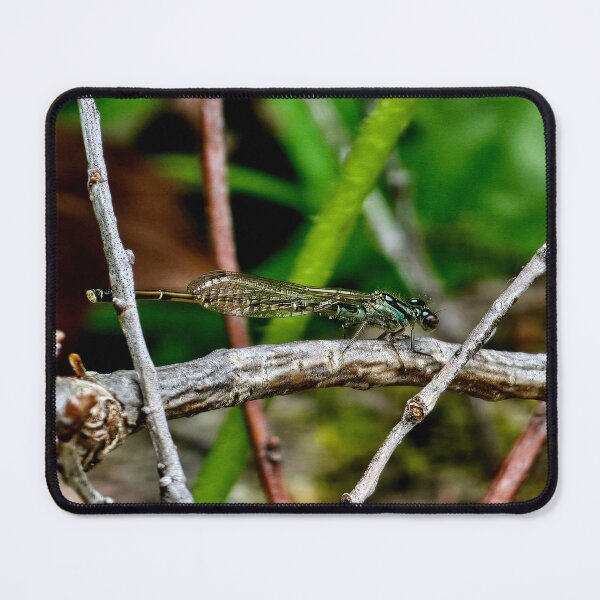 Item preview, Green Dragonfly designed and sold by MaddysMStudio.