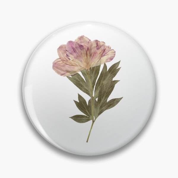 Item preview, dried flower designed and sold by sukilin.