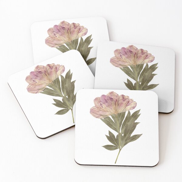 Item preview, dried flower designed and sold by sukilin.
